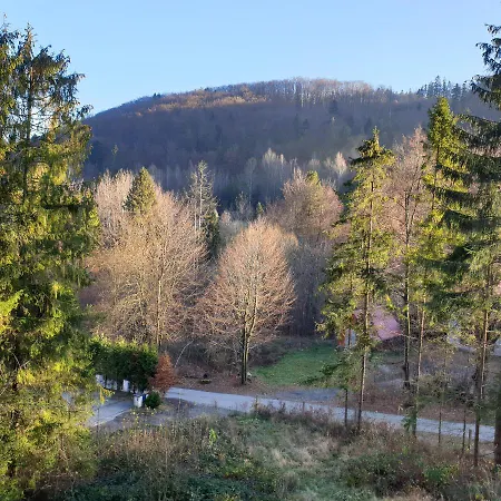 Апартаменты Bukowy Stok Висла