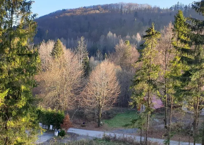 Apartment Bukowy Stok Wisla